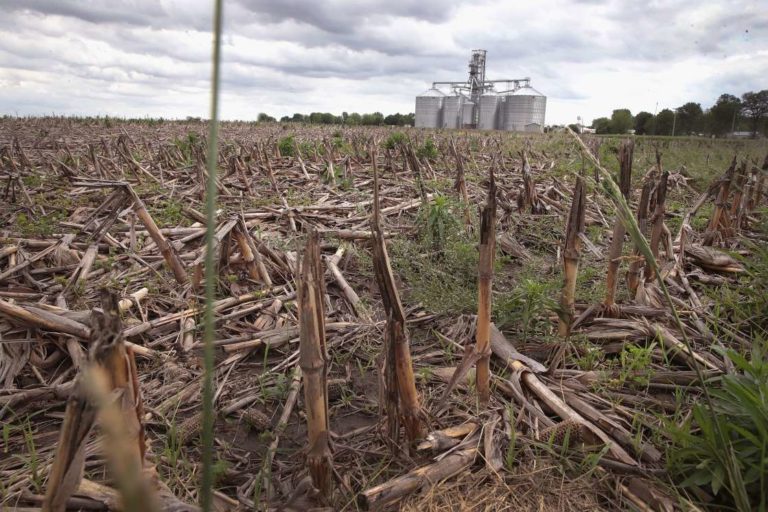 Us Farmers Say They Face Devastation Signs Of The Last Days 5568